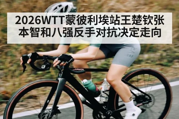 2026WTT蒙彼利埃站王楚钦张本智和八强反手对抗决定走向
